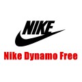 Kid's Nike Dynamo Free 